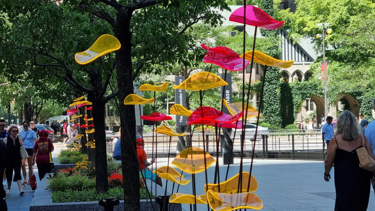 Lovilka sonca je inovativna naprava